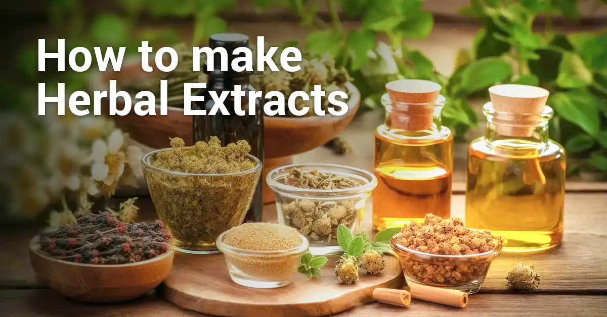 how to make herbal extracts