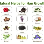 Natural Herbs for Hair Growth