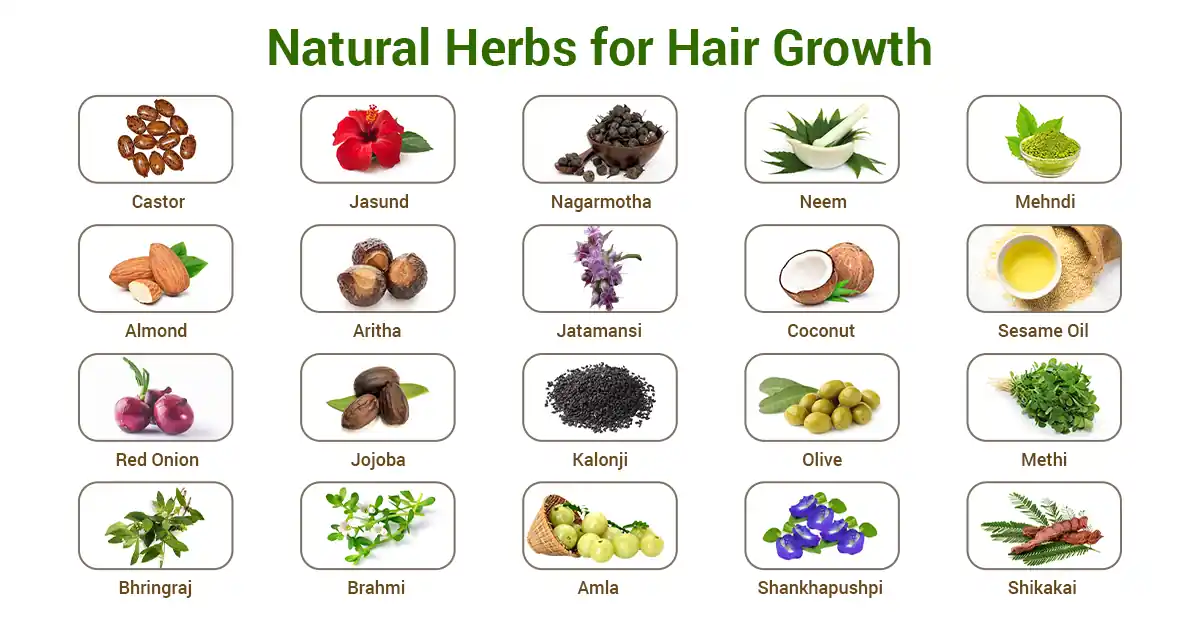 Natural Herbs for Hair Growth